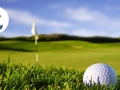 golfpicture_16547181577_o